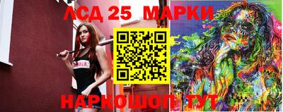 spice Гатчина