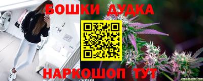 амф Гай