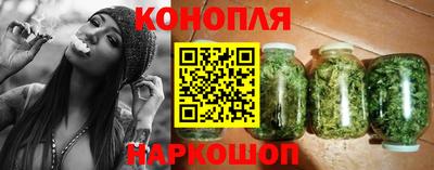spice Гатчина
