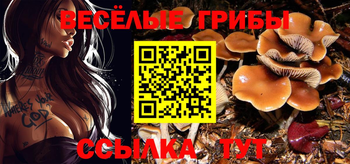 Псилоцибиновые грибы прущие грибы Чебоксары